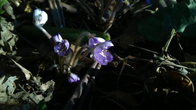 wp 20140405 09 20 57 pro