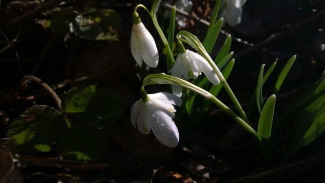 wp 20140405 09 21 49 pro