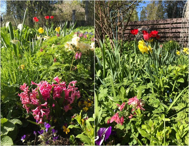 image_45F99288-6924-4DEA-89DD-44F58997AC6F.IMG_0094